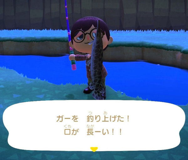 تسكن في اليابان! ؟ أي نوع من الأسماك هو "GAR" الذي يمكن صيده في "Atsume Animal Crossing"؟ [مجلة هيراساكا هيراساكا "Atsumori"] أول صورة / صورة