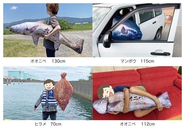 الأسماك التي تم صيدها وسادة حقيقية! "Gyota Cushion" مثل Fish Taku يشبه تمامًا الشيء الحقيقي والصورة الرابعة