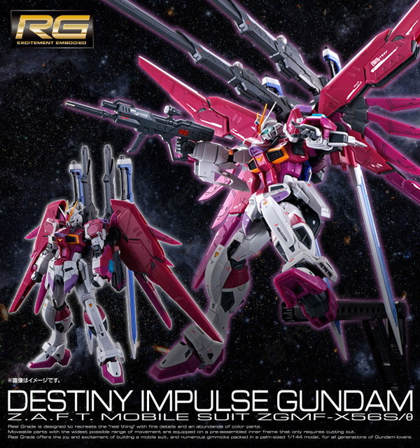 جديد Gunpla "RG Destiny Impulse" HG Gundam Rose "شائع جدًا ويبيع على الفور