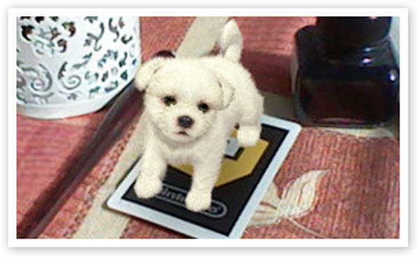 هل تقوم نينتندو بتطوير "Nintendogs" للهواتف الذكية باستخدام الواقع المعزز؟ ظهرت معلومات مثيرة للاهتمام حول براءات الاختراع