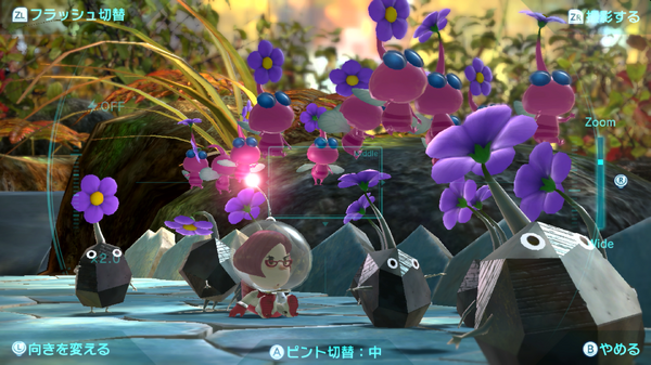 راجع سلسلة "Pikmin" قبل لعب "Pikmin 4"! التفكير في الاختلافات الهيكلية في 3 ترقيم ، الصورة / الصورة التاسعة عشر