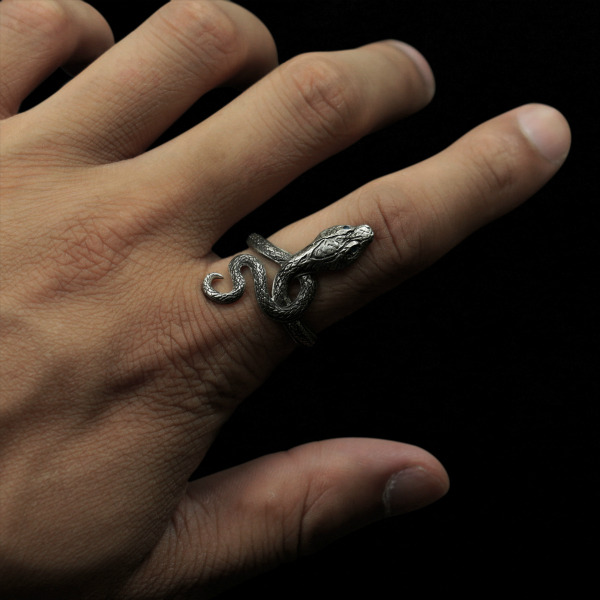 "Dark Souls" Access "RENT Silver Silver Snake Ring" و "Catalina Helm Earrings &amp; Pendant" متاحون الآن