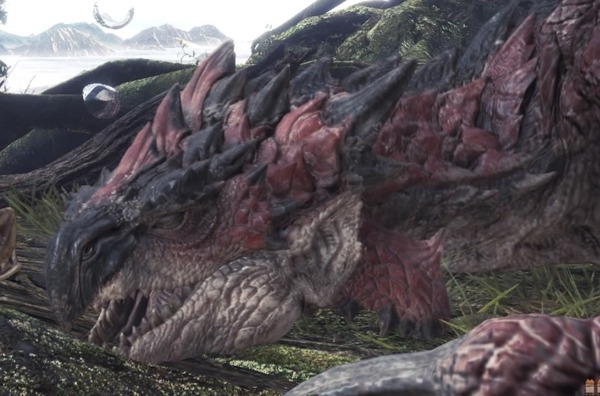 "Monhan: World" Monster 10 Faces Sleeping Faces 
