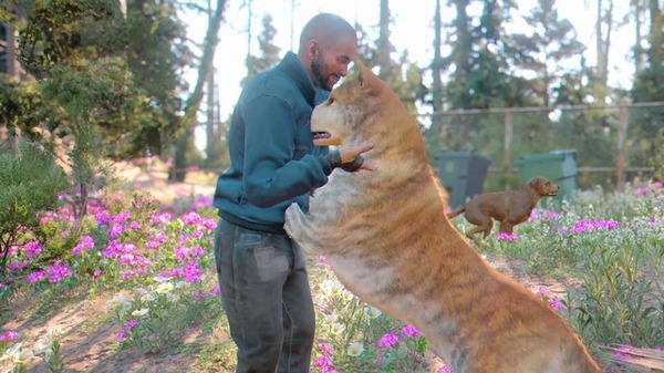 [صور مذكرات Teru Kazu Yoshida] "Furry New Doon" يتحول العالم الريفي الأمريكي المفتوح إلى نهاية القرن! الصورة السادسة عشر / الصورة