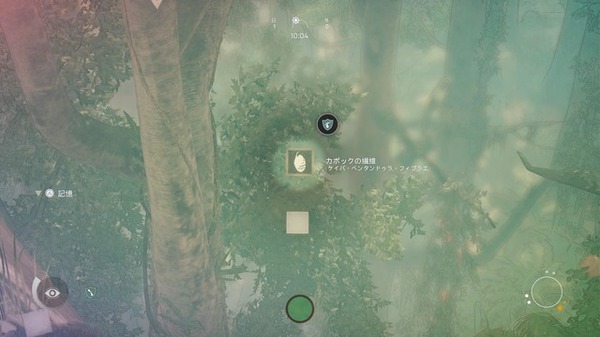 [مذكرات صورة Teru Kazu Yoshida] Open World Survival "Ansester: Travel of Humanity" الصورة الثامنة عشر / صورة التطور من القرود إلى الناس