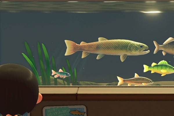"Animal Crossing: New Horizons" تحدى السمكة النادرة المحدودة "Itou" حتى مارس! هل يمكنك اصطياد سمكة أسطورية بـ 100 قطعة من "المكيبيت"؟
